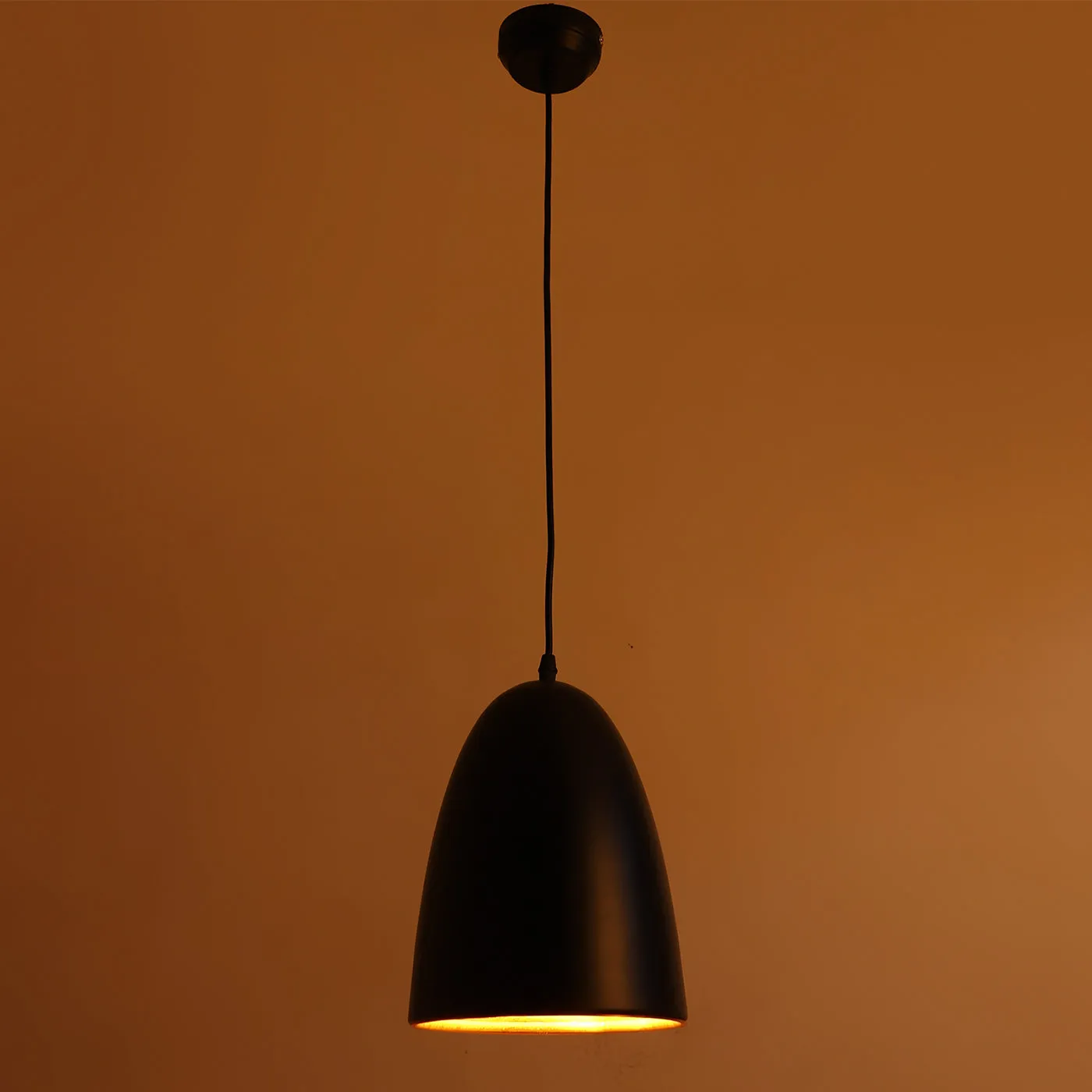 Black Metal Hanging Light - HL-012-HL-BK-GD - Included Bulb