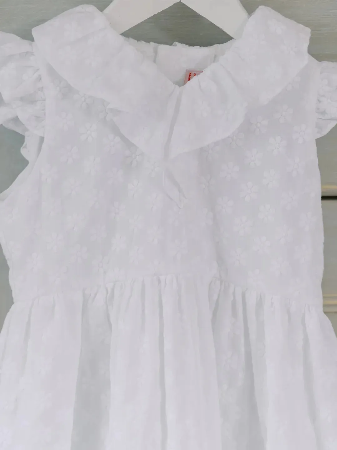 serafina embroidered dress