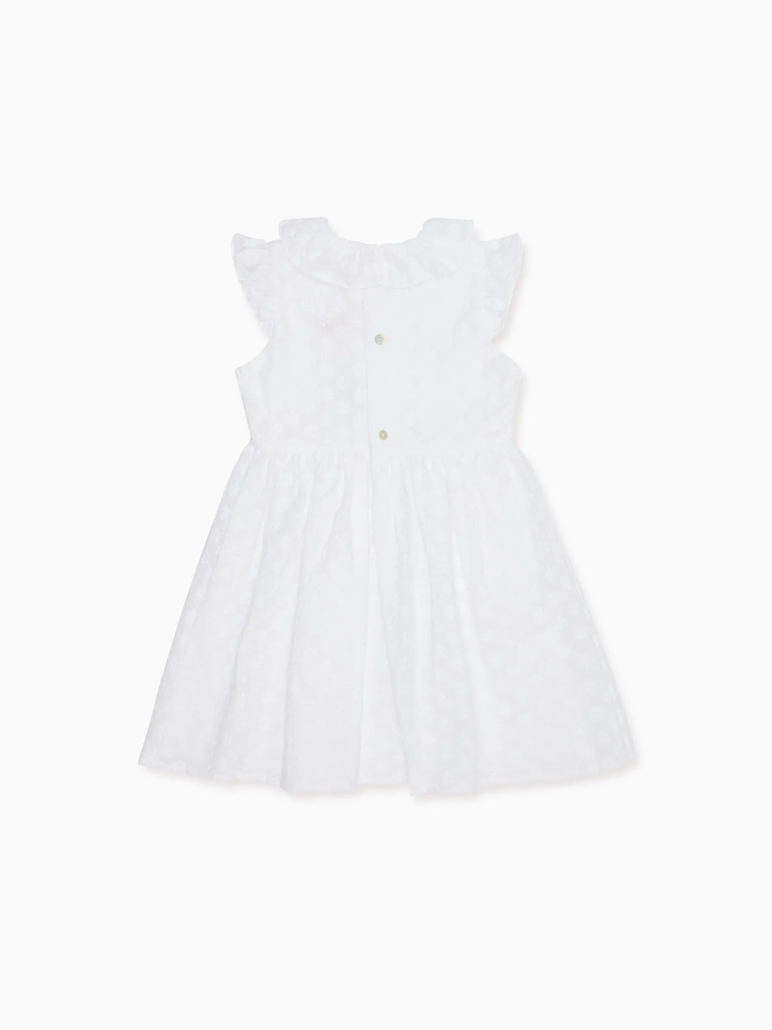 serafina embroidered dress