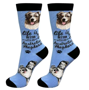 Socks  Australian Shepherd Dog     840-53